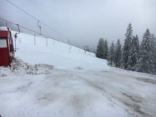Selital, 26.2.1016

