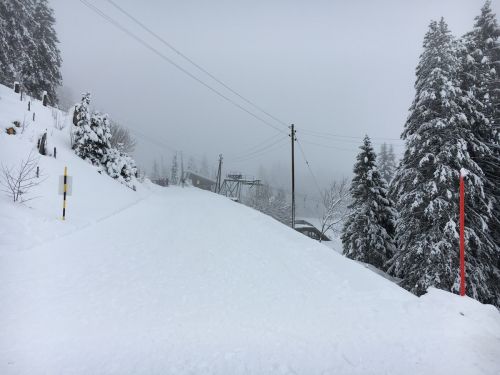 Selital, 26.2.1016
