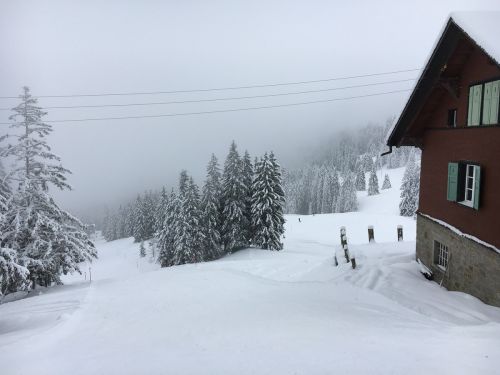 Selital, 26.2.1016
