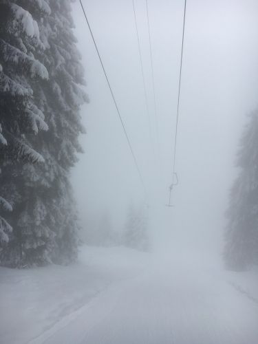 Selital, 26.2.1016
