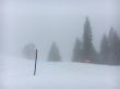 20160224-zweisimmen-2666.jpg