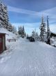 20160226-selital-2700.jpg