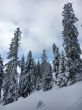 20160226-selital-2704.jpg