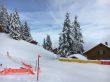 20160226-selital-2706.jpg