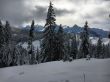 20160226-selital-2712.jpg