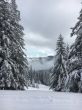 20160226-selital-2715.jpg