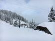 20160226-selital-2724.jpg