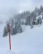 20160226-selital-2725.jpg