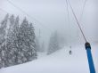 20160226-selital-2744.jpg