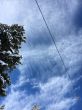 20160307-wengen-2995.jpg