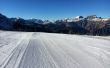 20161229-elsigen-8420.jpg