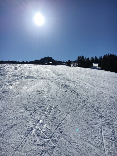 13. Februar 2017
