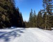 20170213-rueschegg-1185.jpg