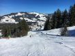 20170225-bumbach-1770.jpg