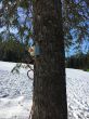 20170225-bumbach-1799.jpg