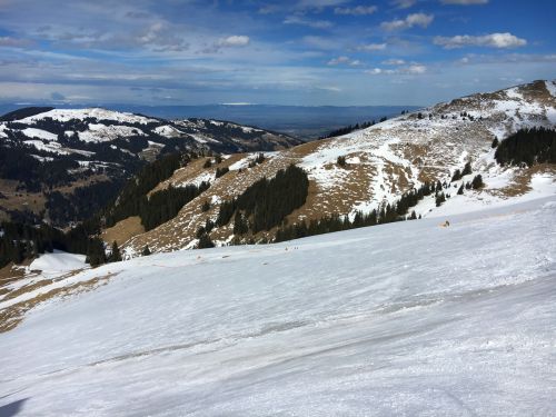 4. März 2017
