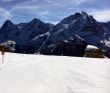 20170412-muerren-4225.jpg
