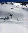20170421-engstligenalp-4643.jpg