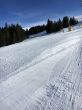 20171123-elsigenalp-6261.jpg