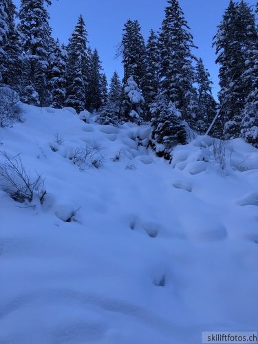 20171219-wengen-6922.jpg