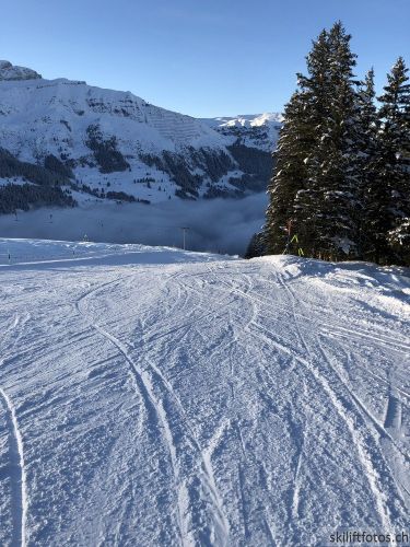 20171219-wengen-6974.jpg