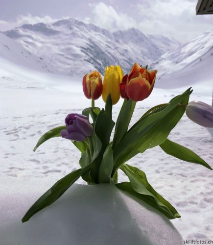 8. April 2018
