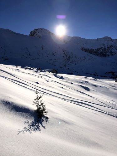 Elsigenalp, 12.12.2018
