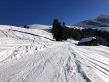 20181212-elsigen-039.jpg