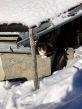 20181212-elsigen-045.jpg