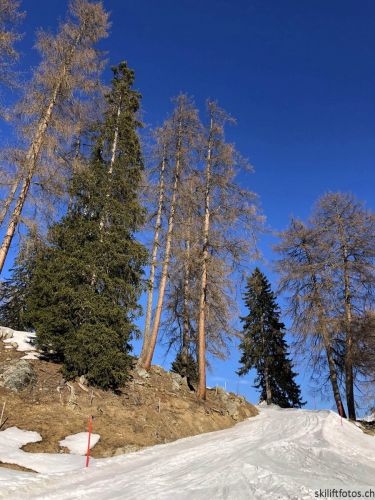 24. März 2019
