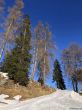 20190324-scuol-ftan-3409.jpg
