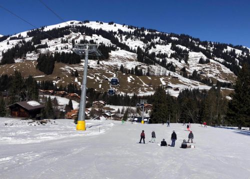 20190320-zweisimmen-3099.jpg