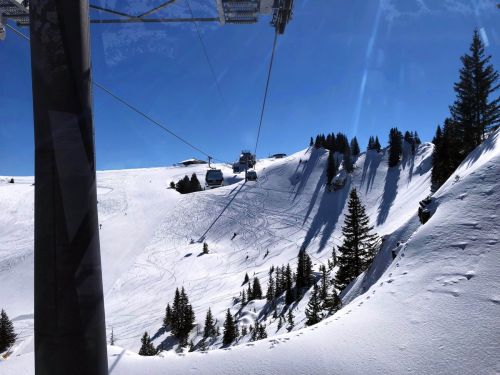 20190320-zweisimmen-3124.jpg