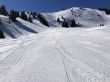 20190320-zweisimmen-3088.jpg
