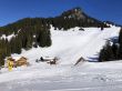 20190320-zweisimmen-3169.jpg