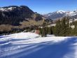 20190320-zweisimmen-3198.jpg