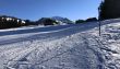 20190320-zweisimmen-3200.jpg