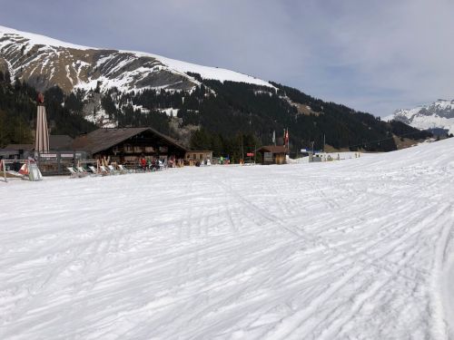 20190401-adelboden-lenk3719.jpg