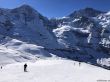20190415-kleinescheidegg-3992.jpg