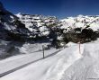 20190415-kleinescheidegg-4020.jpg