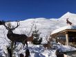 Dateiname=20200105-ftan-scuol-8114.jpg
Dateigröße=336KB
Abmessungen: 1200x900
hinzugefügt am: 06. Januar 2020 20200105-ftan-scuol-8114.jpg