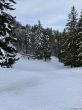 20210120-balmberg-2926.jpg