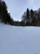 20210120-balmberg-2928.jpg