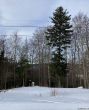 20210120-balmberg-2960.jpg