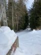 20210120-balmberg-2991.jpg