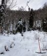 20210120-langenbruck-3134.jpg