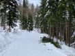20210120-langenbruck-3136.jpg