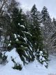 20210120-langenbruck-3137.jpg