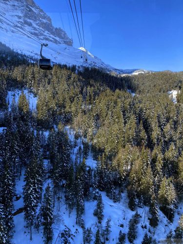 20210414-grindelwald-5964.jpg