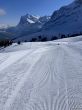 20210414-grindelwald-6032.jpg